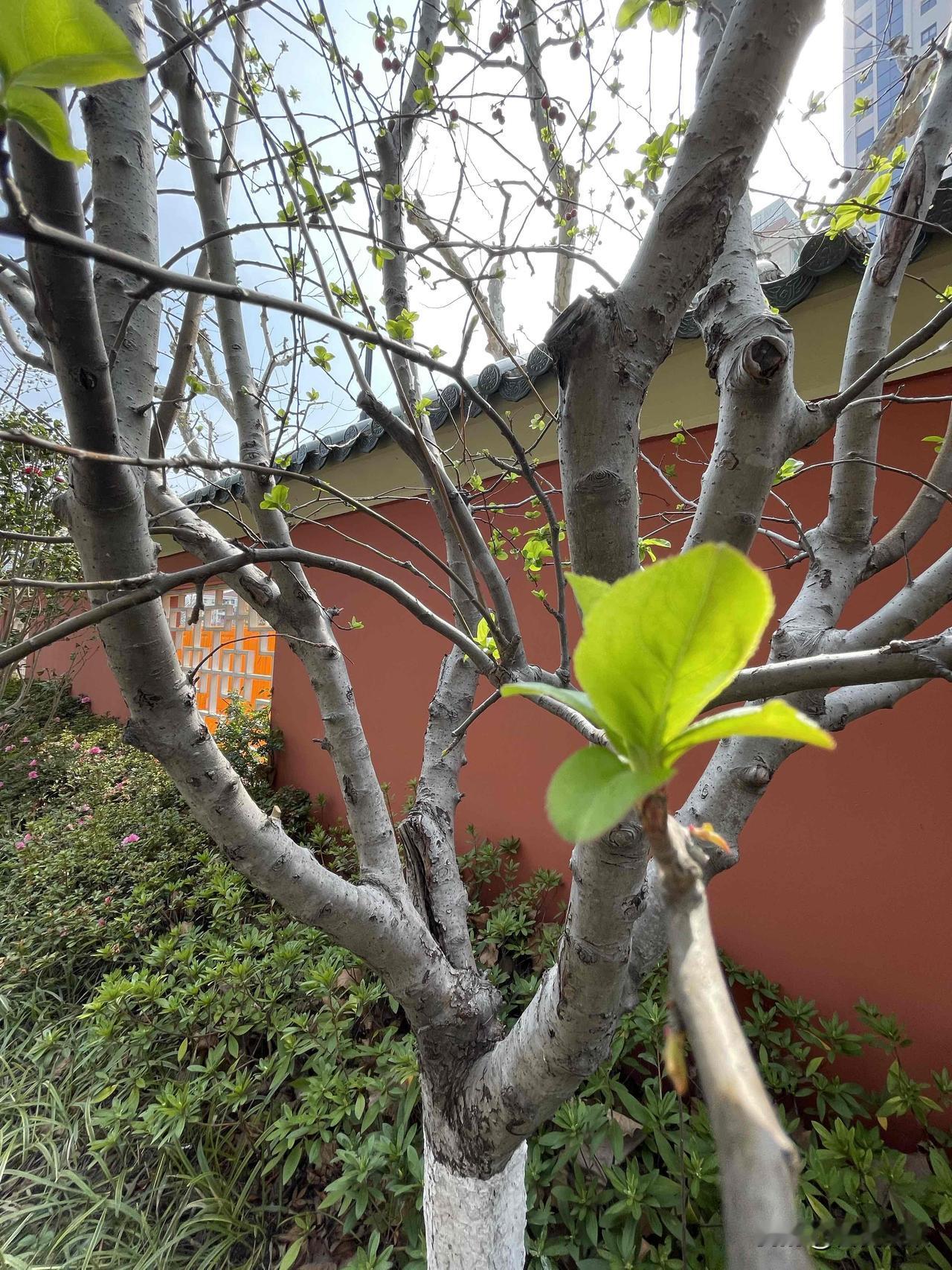 老人不能瘦。上个月，在医院病房里遇到一位60岁的老先生，他是从安徽过来治病