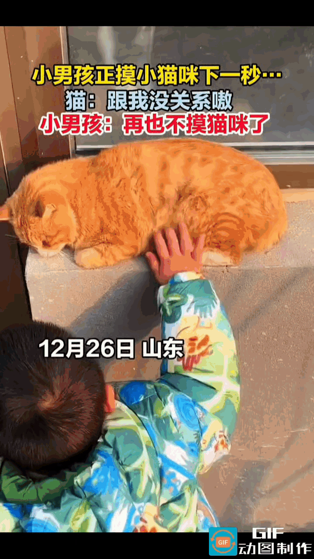 橘猫惬意地趴在窗台上晒太阳，看着猫咪萌哒可爱的样子，男孩忍不住走过去，轻轻蹲了下