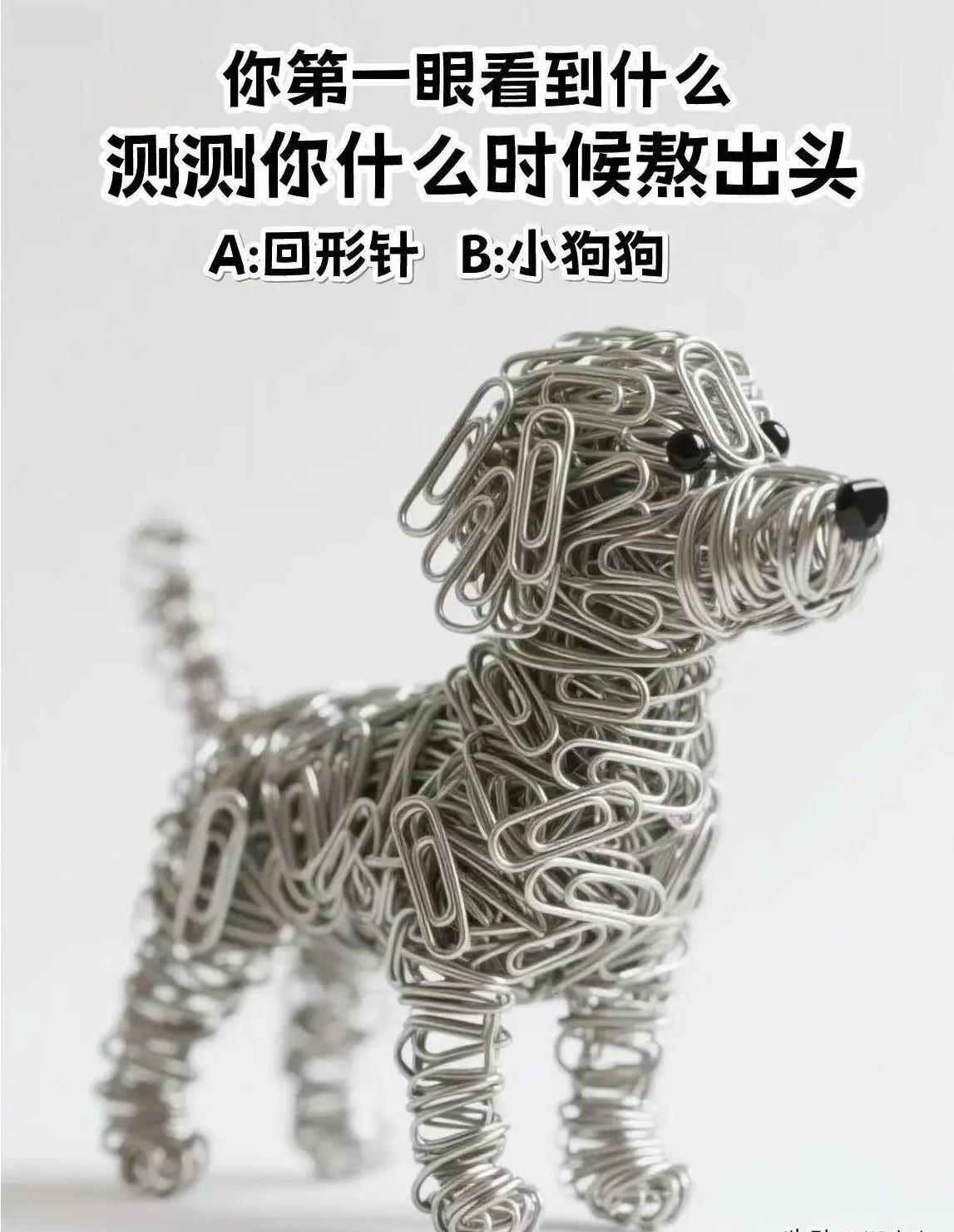 你第一眼看到什么，测测你什么时候熬出头？A:回形针B:小狗狗答案在评论区