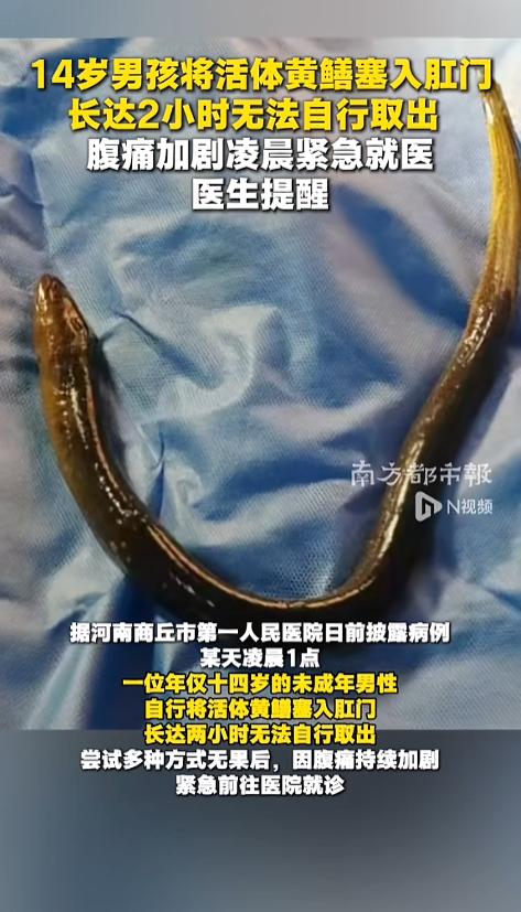 “怎么下的去手的呢！”5月25日报道，河南商丘，一位14岁的男孩凌晨到医院就诊，