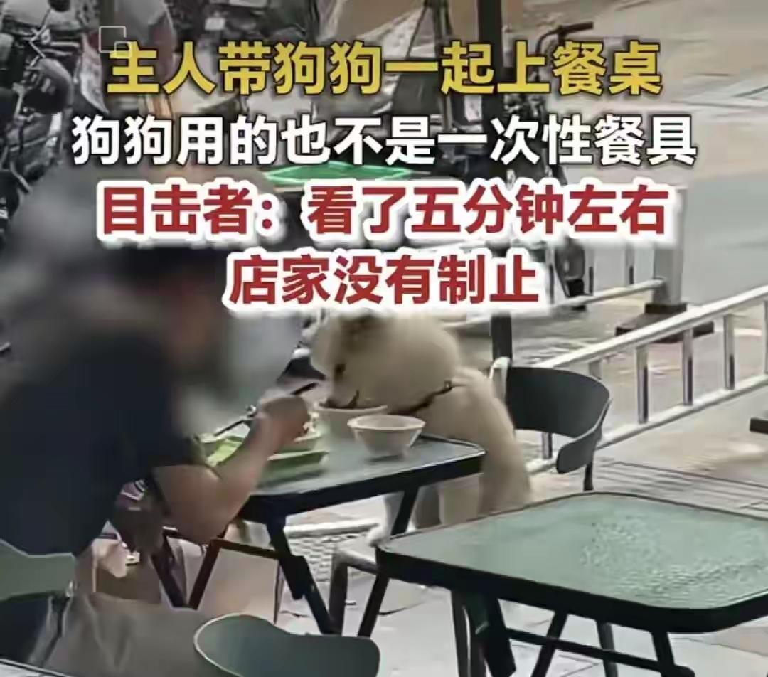 和狗共情并不代表文明，需要养狗群体合法养狗，无良媒体不要人狗不分，才是真正文