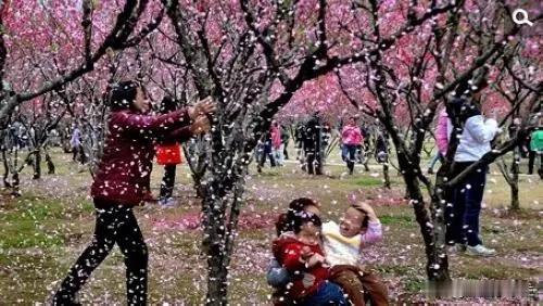 朋友圈可不能什么都发，否则可能就暴露了你的认知，还可能尴尬。昨天孩子两个同学