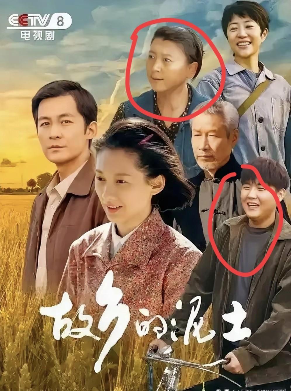 《故乡的泥土》收视率一夜之间暴跌35%。就因为两个演员戏外出事。这部剧，剧