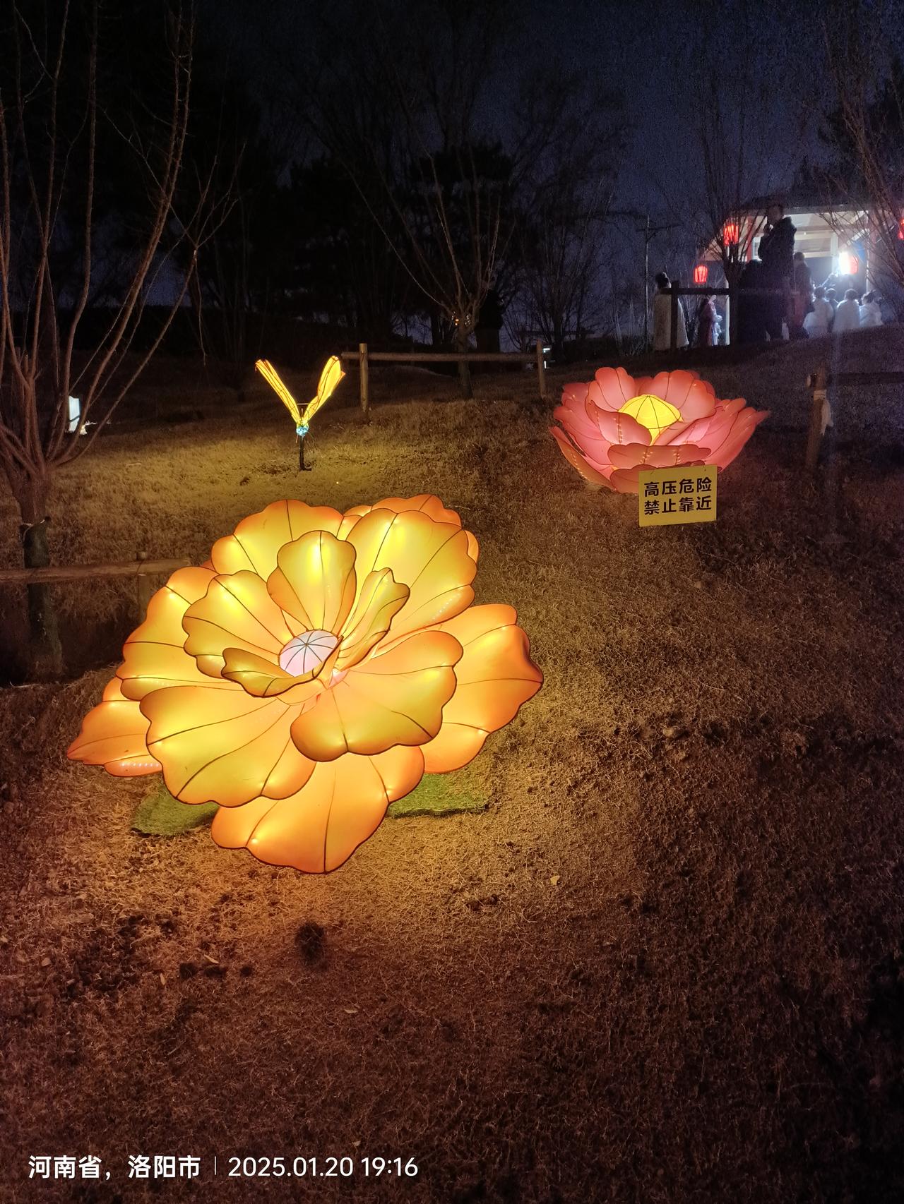 南阳是否为河南副中心，与机登洛有何关系？洛阳自己的事，又为何与郑州、与郑登洛铁路