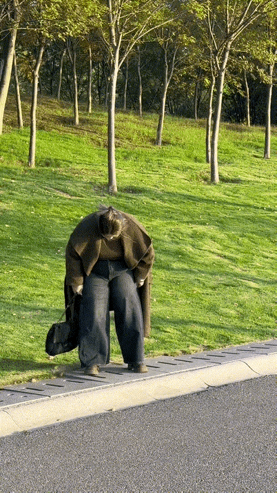 这公园里常出现一只棕熊