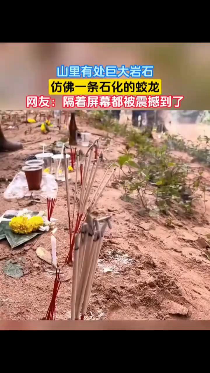 山里有处巨大岩石，仿佛一条石化的蛟龙。网友：隔着屏幕都被震撼到了。4月13日，