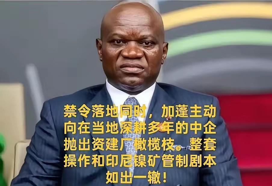 加蓬照搬印尼镍矿套路！叫停锰矿原矿出口，逼中方交出核心冶炼技术！2025年5