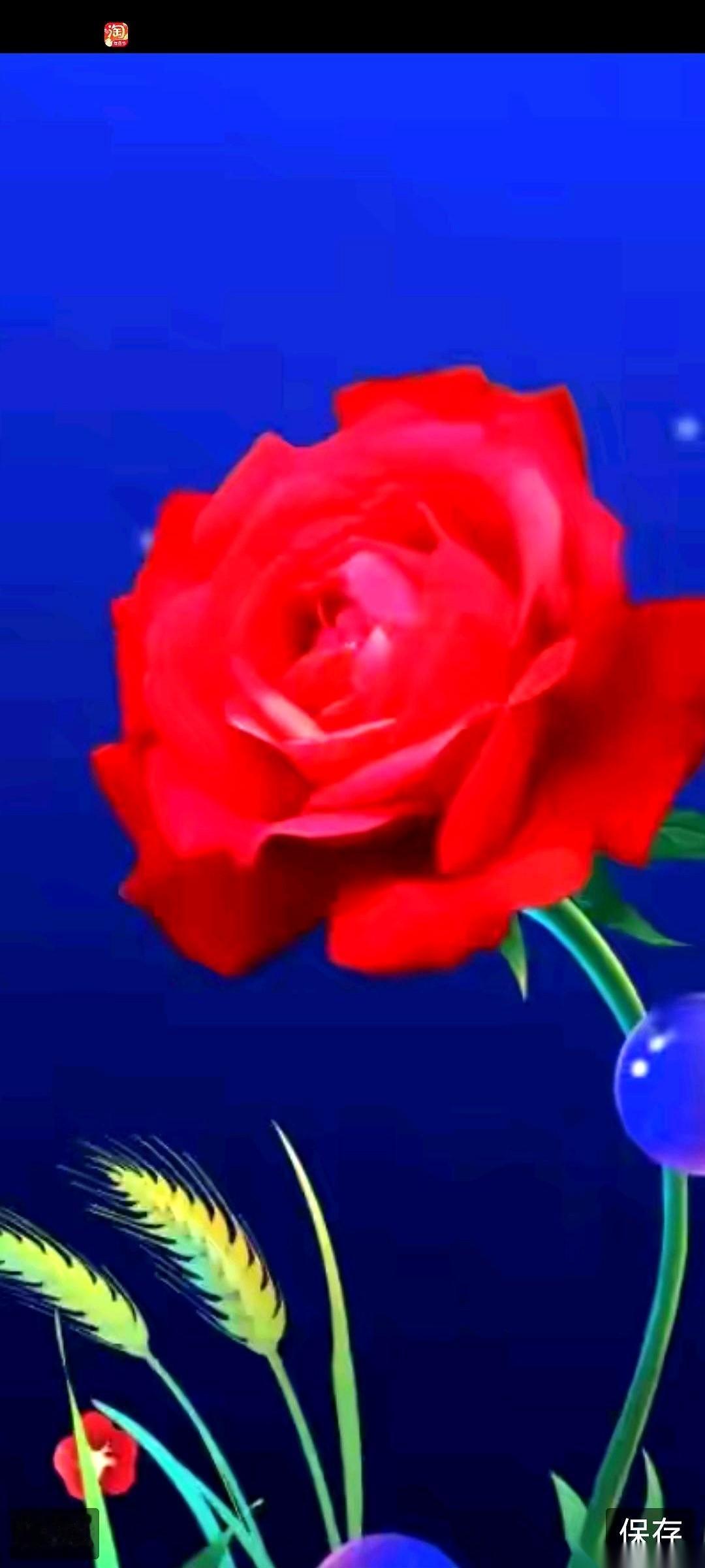 手机一划，满屏都是红的，普天同庆。就我，打开账户，绿得能养眼。大盘连着涨了半