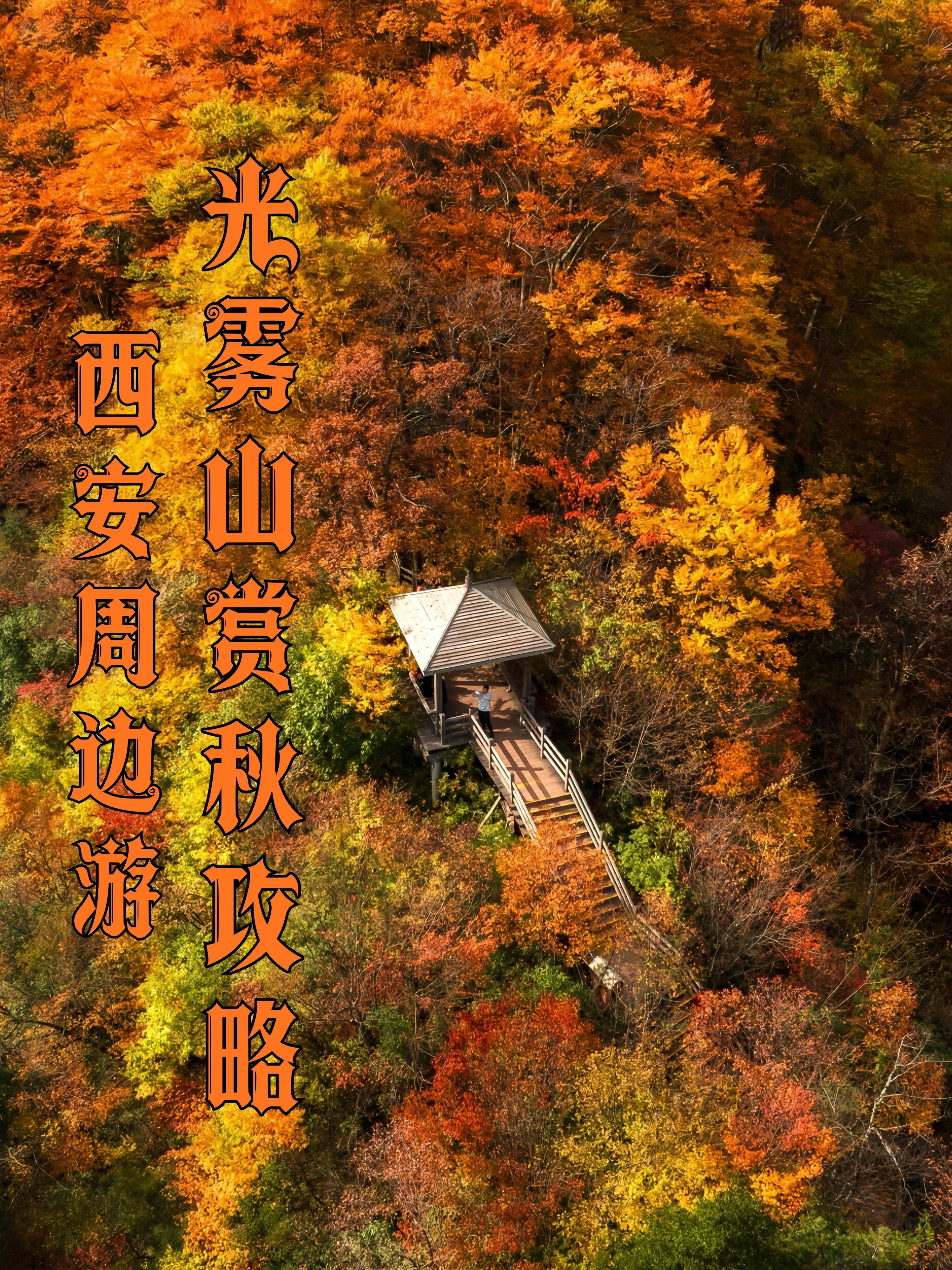 已经开始期待光雾山的秋，10~11月攻略。🍁国家地理没骗我❗️被这片...