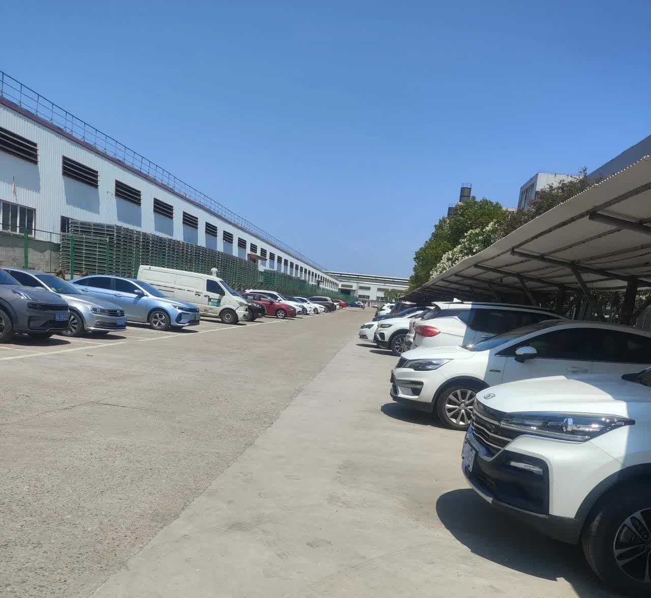 新能源车好在哪？我上班的公司停车位里的车，我逛了一圈，七百多人的厂，