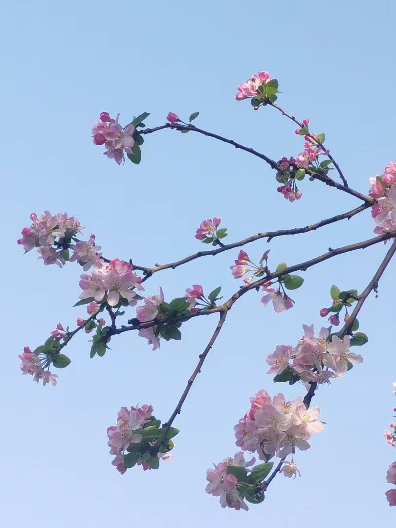 如果你总是胡思乱想、敏感内耗，无法静下心来，那么请一定要记住：人心本无染，