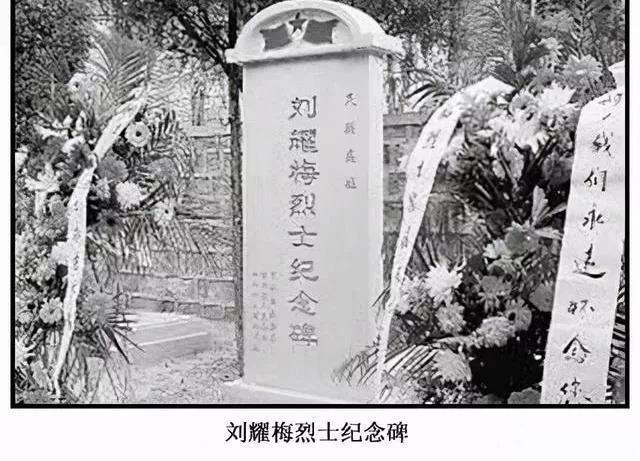 1943年秋，穷途末路的日军，疯狂实行“三光”政策，每到一处，杀光、抢光、烧光。