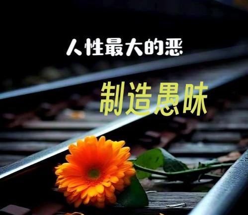 人类最大的恶，并非施加暴力，而是系统地制造愚昧。暴力虽能摧毁肉体，却可能激发