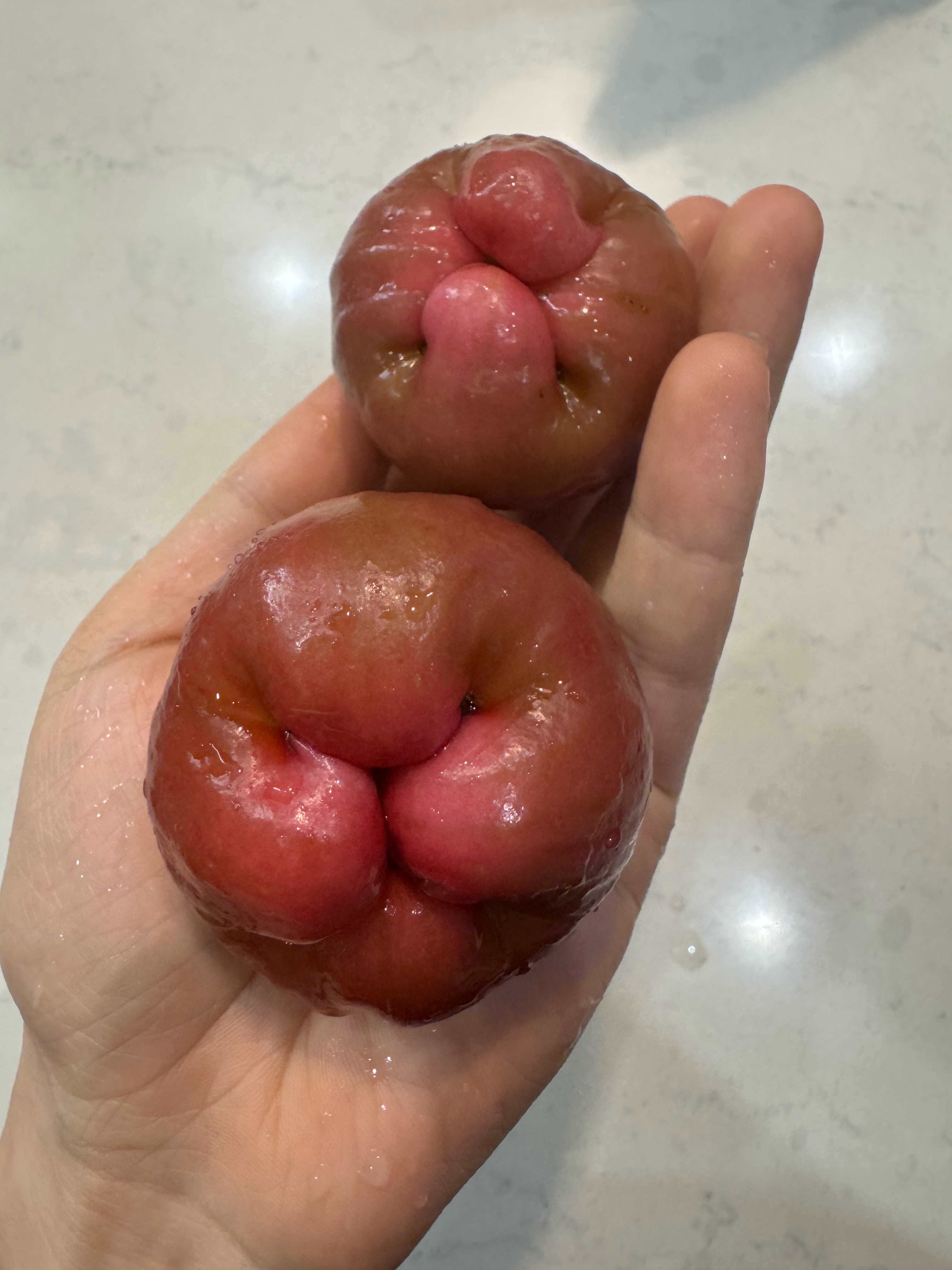 啊啊啊第一次吃到芜湖种植的莲雾，个头不大，但是是甜的
