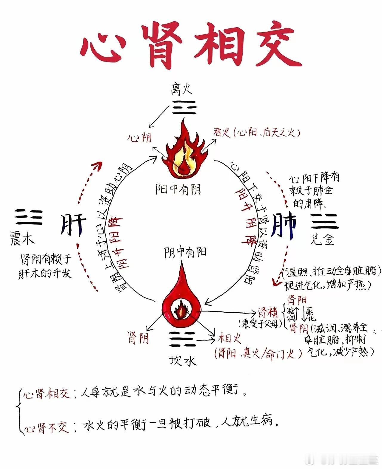 《四圣心源》是清代名医黄元御的代表作，以黄帝、岐伯、秦越人（扁鹊）、张仲景四位医