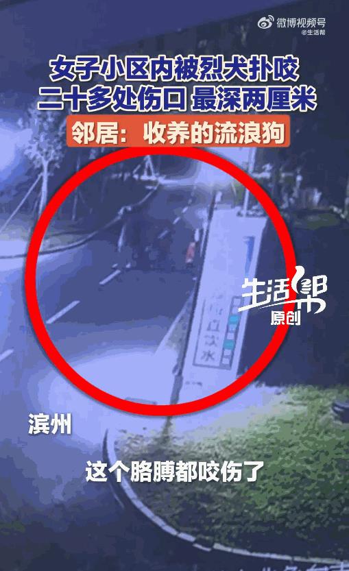 “严查到底！”山东滨州，一女子在小区内遛狗，忽然，一只黑色的大型犬扑了过来，女子
