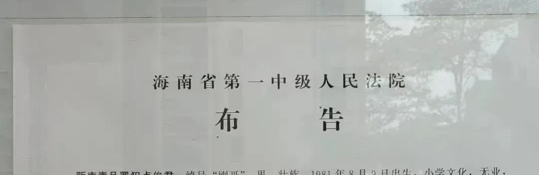 2025年1月20日，海南处决了两名毒贩，一个是外号叫刚哥、年龄44岁、只有小学