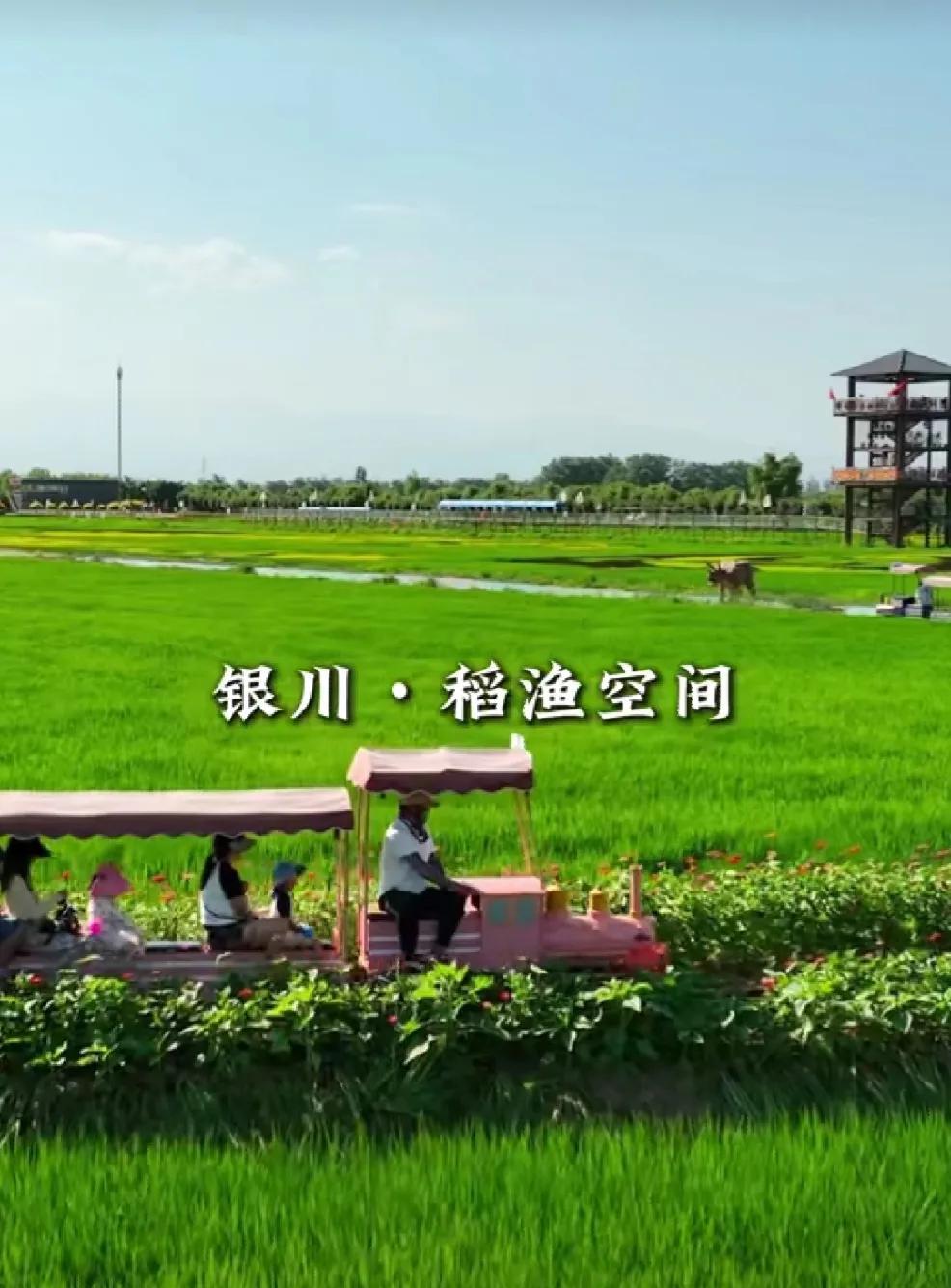 接下来的几个月，宁夏是这样的