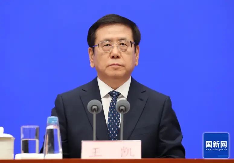 王陆进代理河南省省长, 王凯辞去省长职务