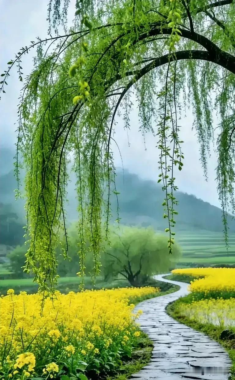 玄学提醒：想要命好，就一定要学会：避谶。​“避谶”，说白了就是：别乱说话，别