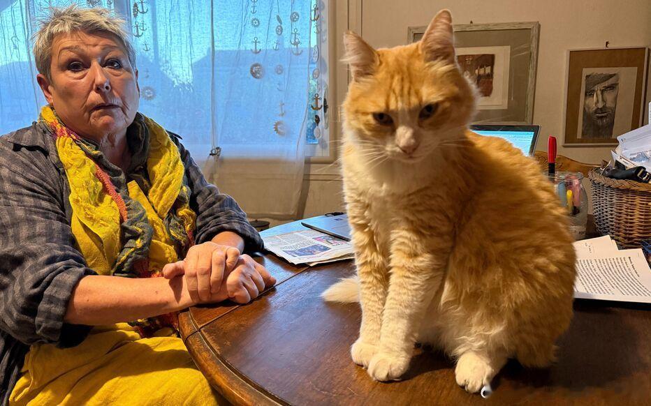 笑死，法国一只大橘猫，被法院判处赔偿邻居1250欧元，由其主人在赔付。原因是大橘