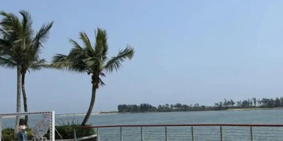 资本的嗅觉是最灵敏的！海南一封关，美国人马上对新加坡有所反应。 12月17