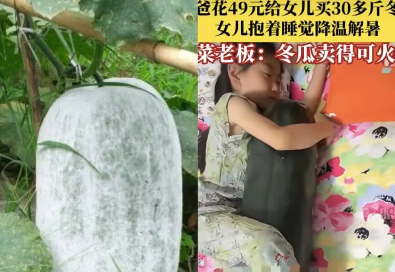 山东，一女子和老公听说夏天抱冬瓜睡觉可以解暑，于是老公就花49元给女儿买一个30