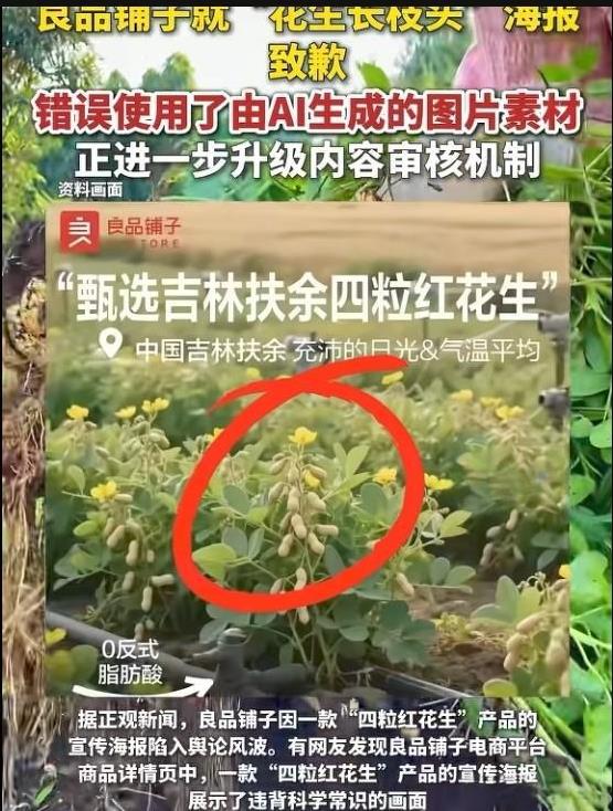 真是可笑，良品铺子犯了这么低级的错误，花生长在枝头上，这么大的企业，这样