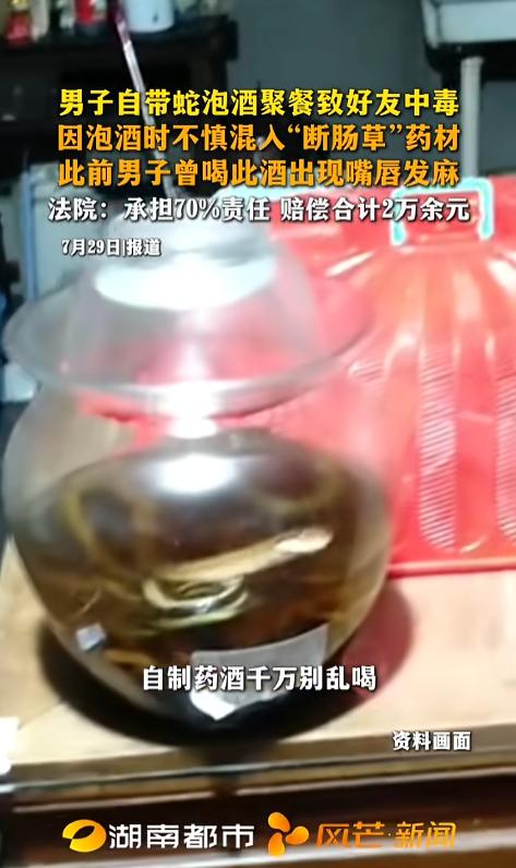 “药酒不能乱喝！”7月29日报道，广西，一男子跟好友聚餐，带上了自己用药材泡的蛇