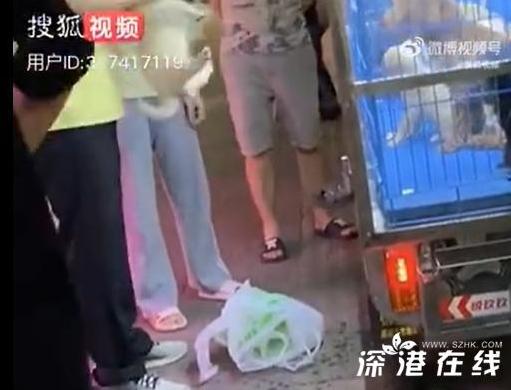 “必须严惩！”2025年4月，广西柳州，一名男子在夜市购买了一只小狗后，对小狗不