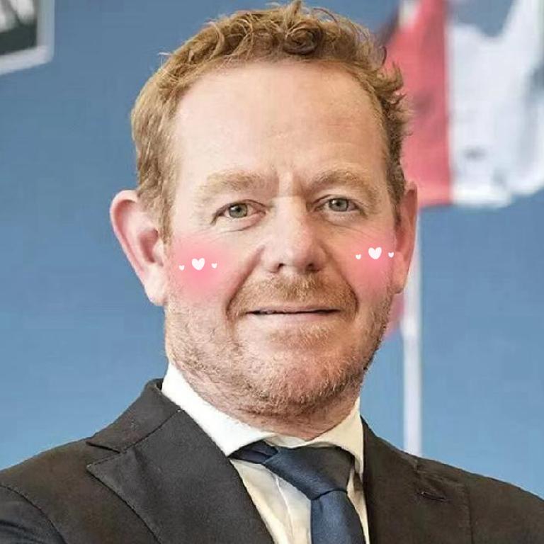 1月1日，荷兰外交大臣戴维·范韦尔对媒体说:“中国指责欧盟对外行动署及荷兰媒体，