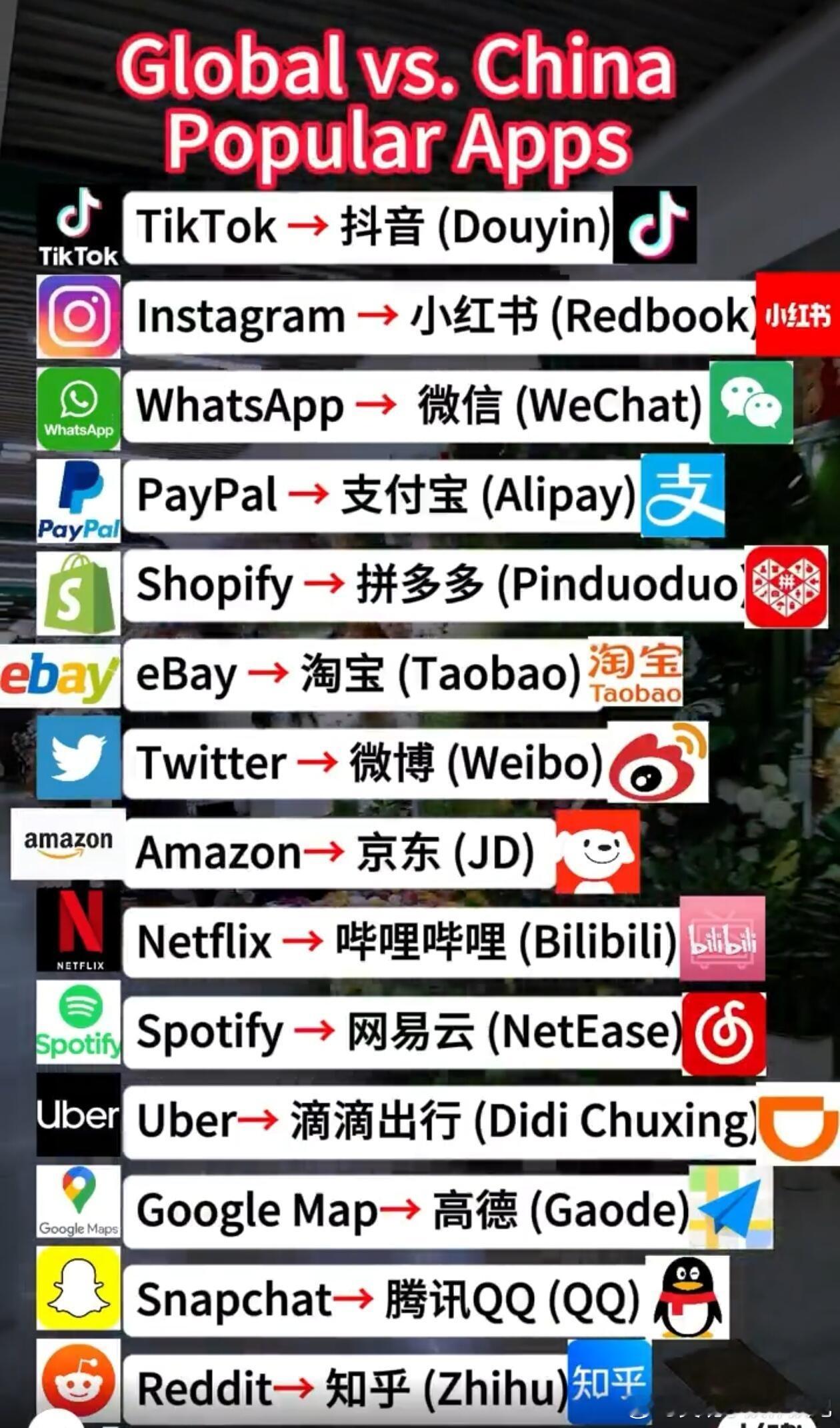 一份中国app使用指南送给美国网友你的猫很可爱，我们的熊猫更可爱