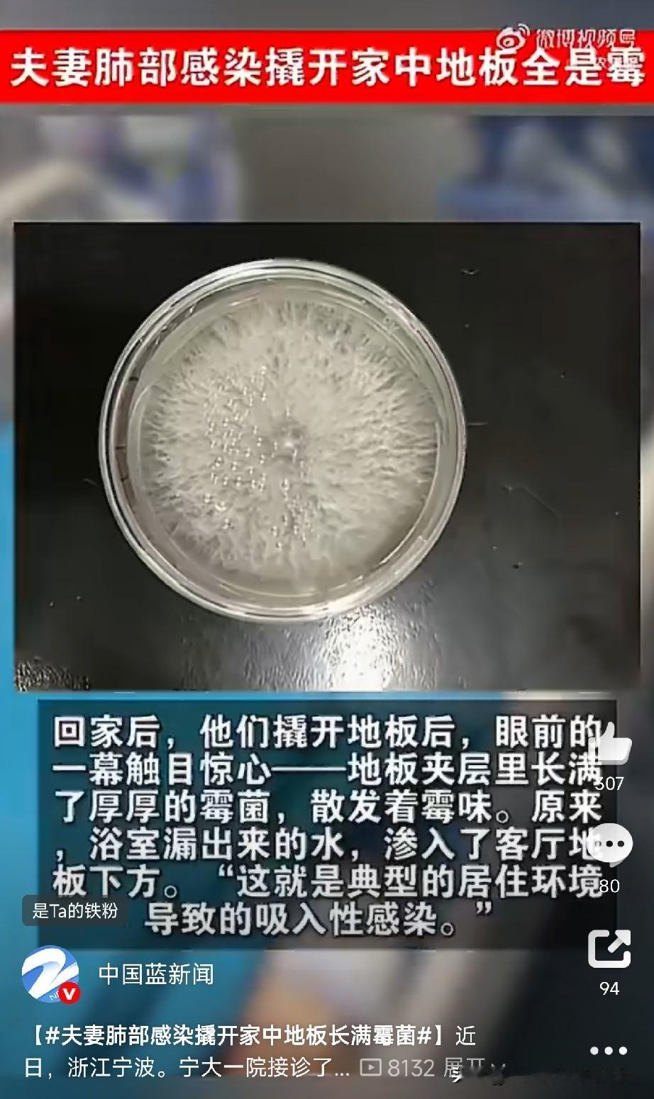 夫妻肺部感染，撬开家中地板发现长满霉菌浙江宁波的周先生和妻子，最近同时发烧