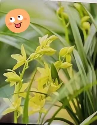 儿子说:我今年不交暖气费了，蹭暖。我还以为听错了。啊?他说，120平暖气费近3