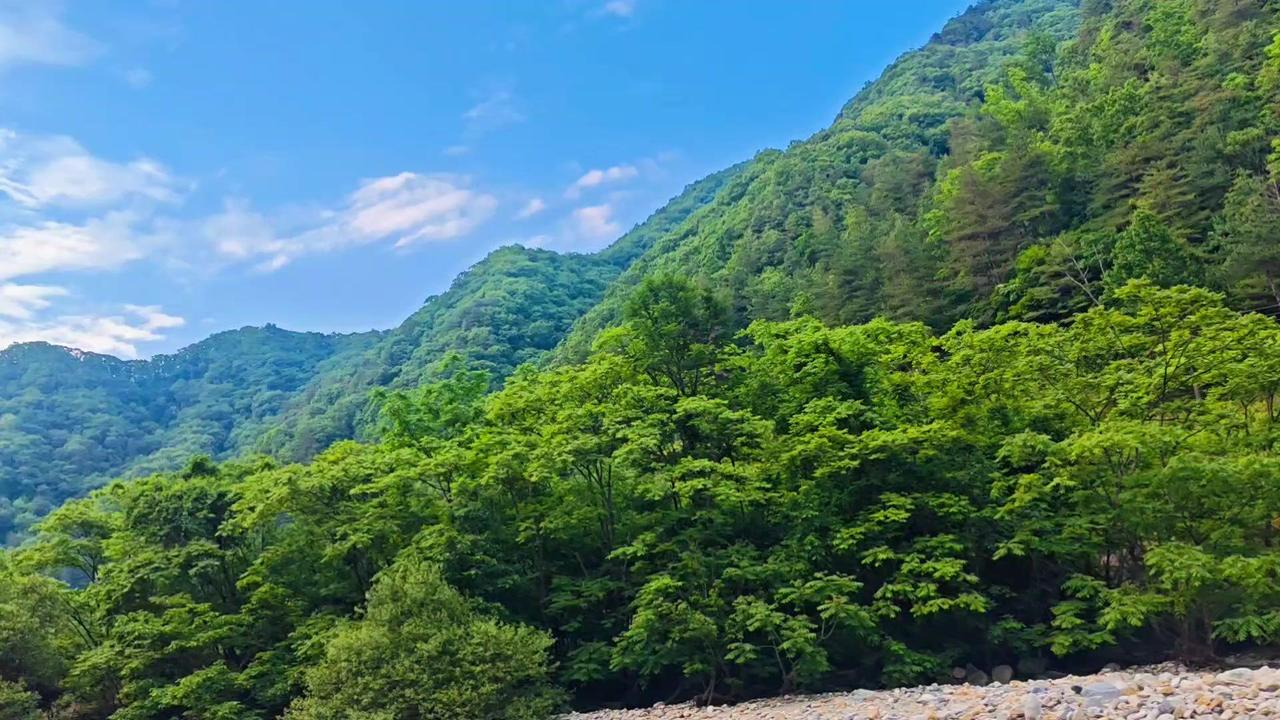 在秦岭深处的佛坪县城，藏着一处被时光遗忘的仙境。国家森林保护区里，原始森林的清新