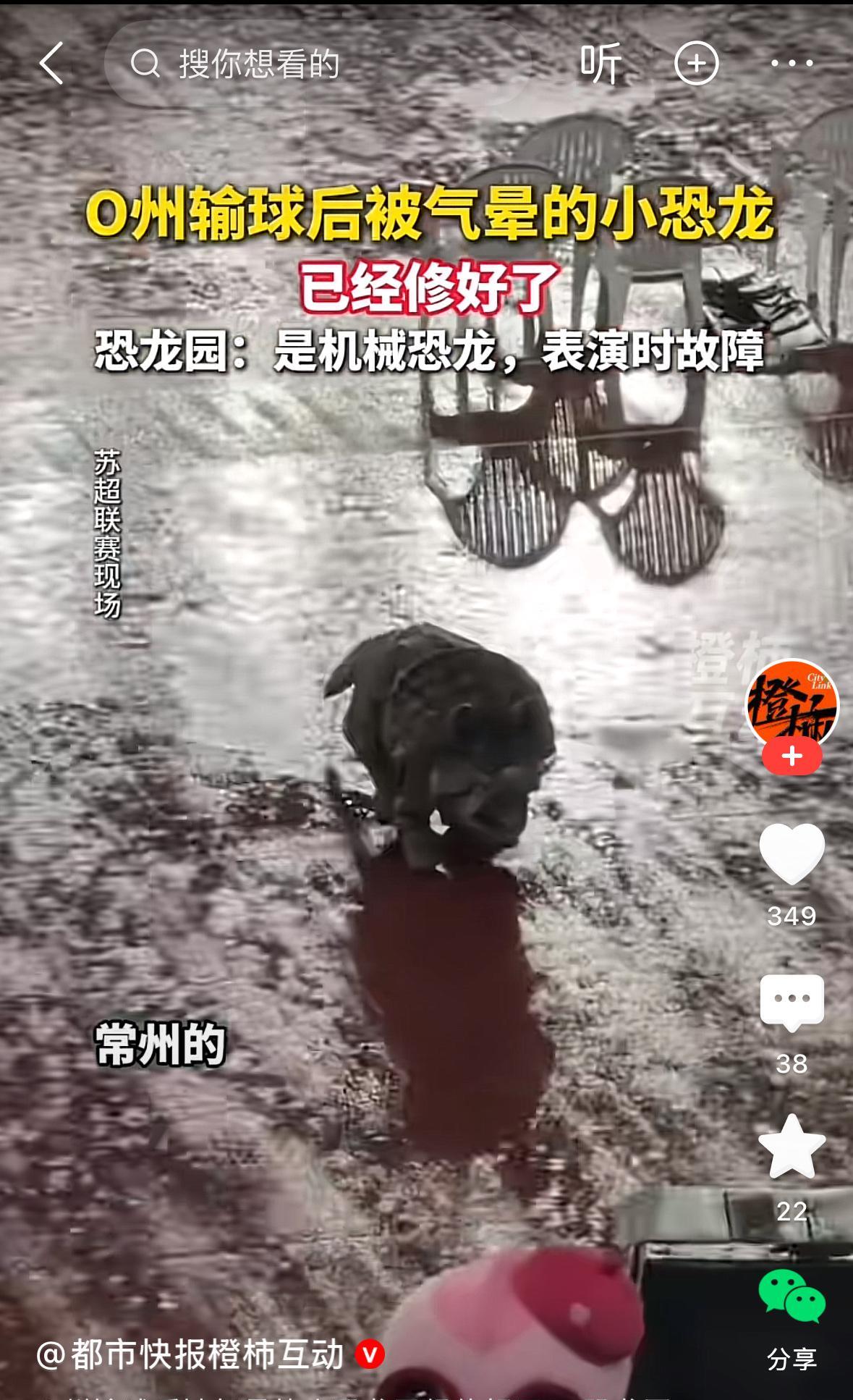 #常州队#记录一下，有一只小恐龙名叫“角角”，也许是因为常州足球队在苏超（江苏