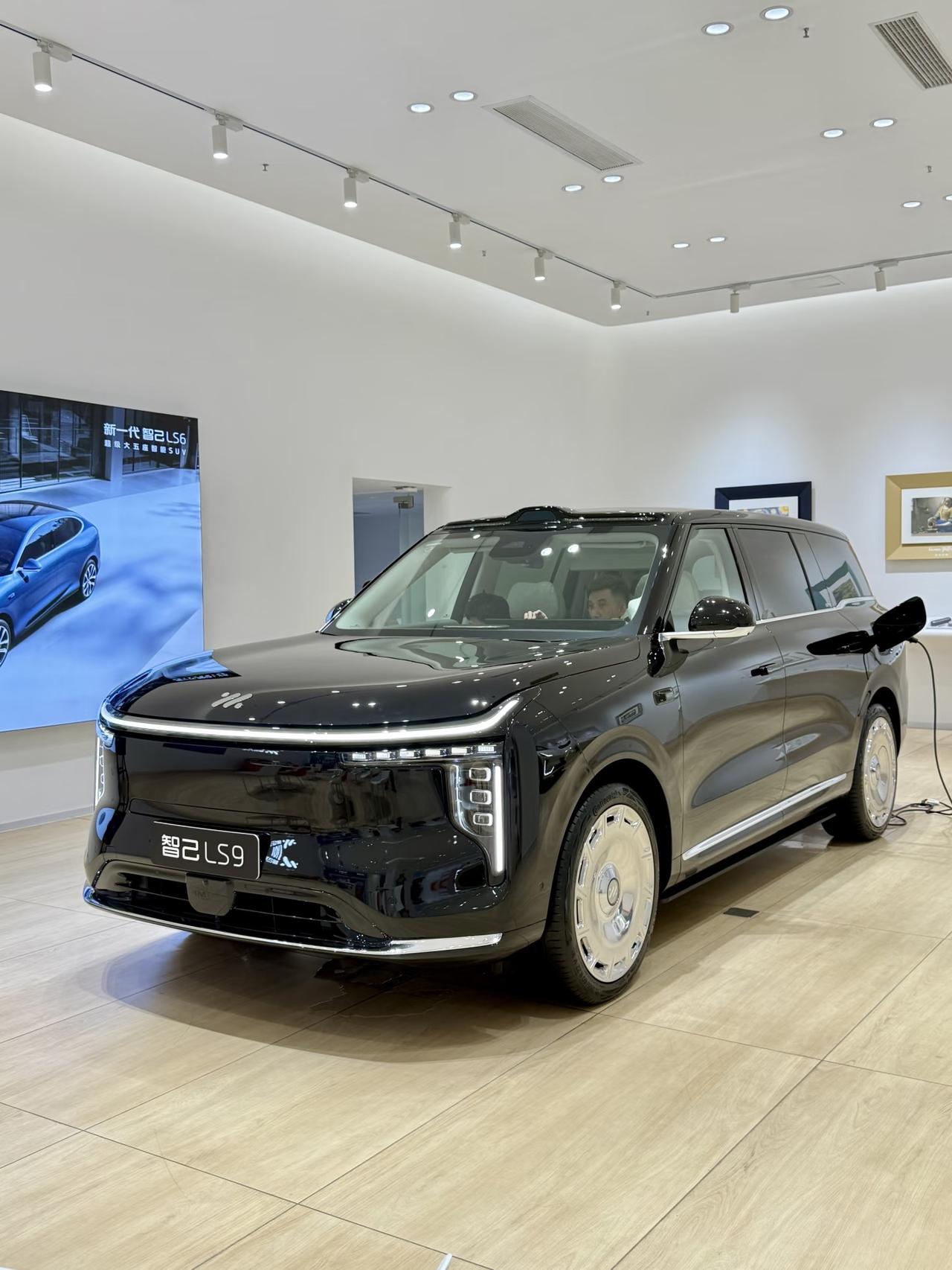 今年大型SUV市场真是热闹啊，是一家有造车能力的公司就想杀进市场分一杯羹，相互之