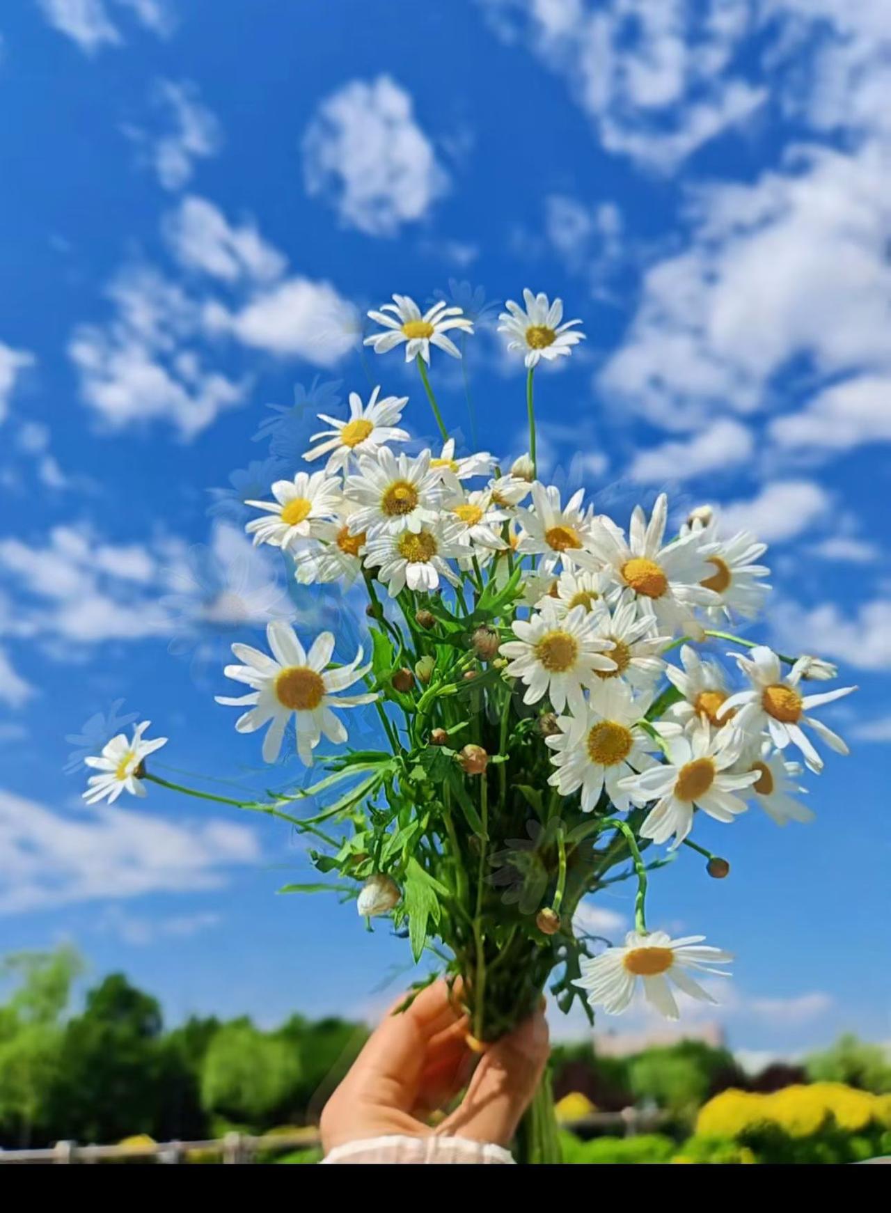 婆婆说：“自己生的自己带，你自己生的，自己不带，你想让谁带？”这句话我记一辈子