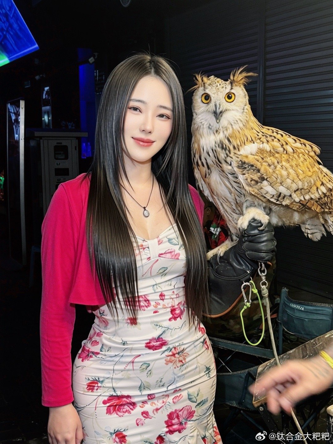 摸到🦉啦镜头感好强