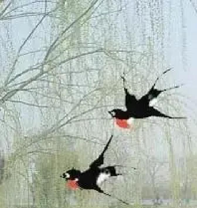 刷到个视频，说有个退伍兵93年开货车去送货，连人带车再没回来，家属喊他“三哥”一