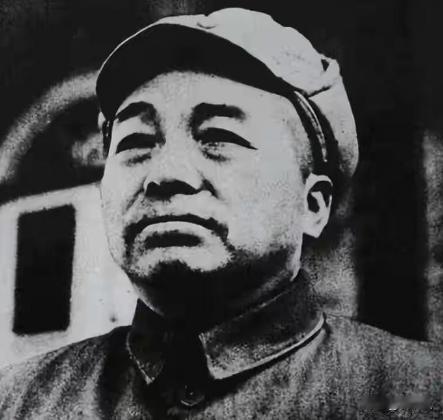 1965年，组织想让彭德怀重新出来工作，可他态度十分坚决，压根不愿复出，他特意亲