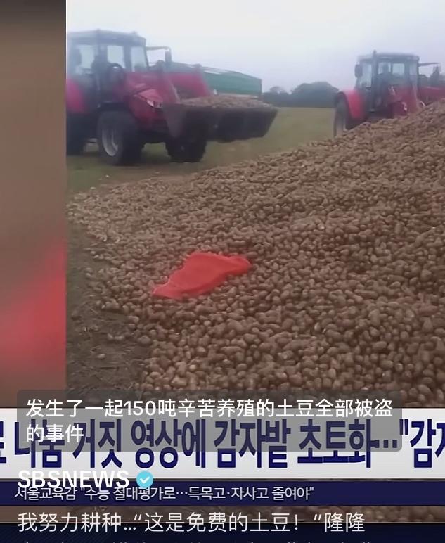 韩媒报道农场的150吨土豆被偷,损失2300万韩元,有人在网上发布谣言称有免费的