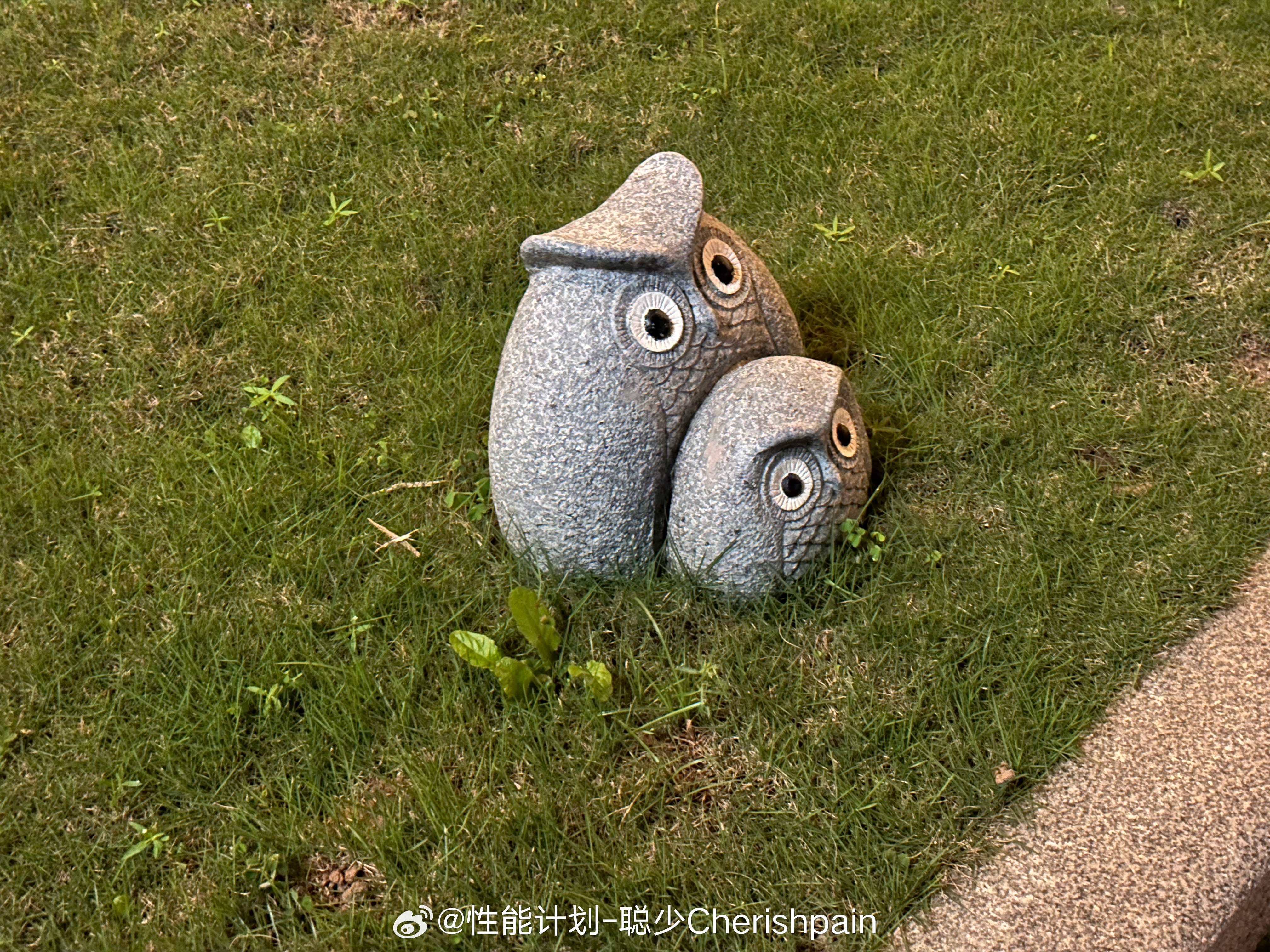 今天在回酒店路上看见的石像，好像前两天机场看见的温馨父女