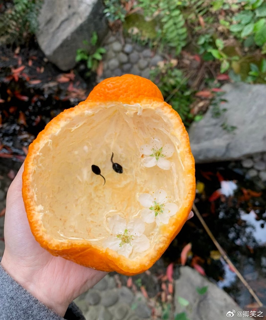 有趣的春天，我就是喜欢春天春风里派对青醒高光time