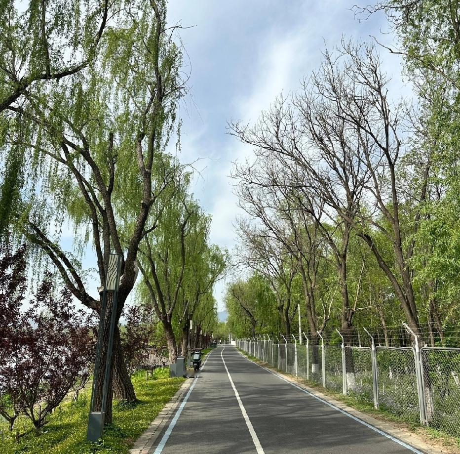 跑步十几年了，越来越厌恶跑步了，这种感觉不知道跑友有没有。不知不觉跑步有16年