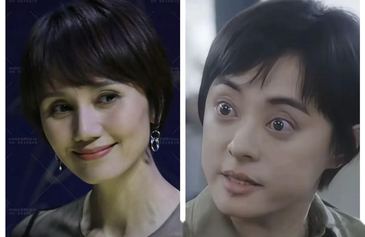 袁泉是出生于湖北省荆州市的一个气质型女演员，跟曾黎一样，属于气质大方的美，相比之下看着比孙俪耐看一点