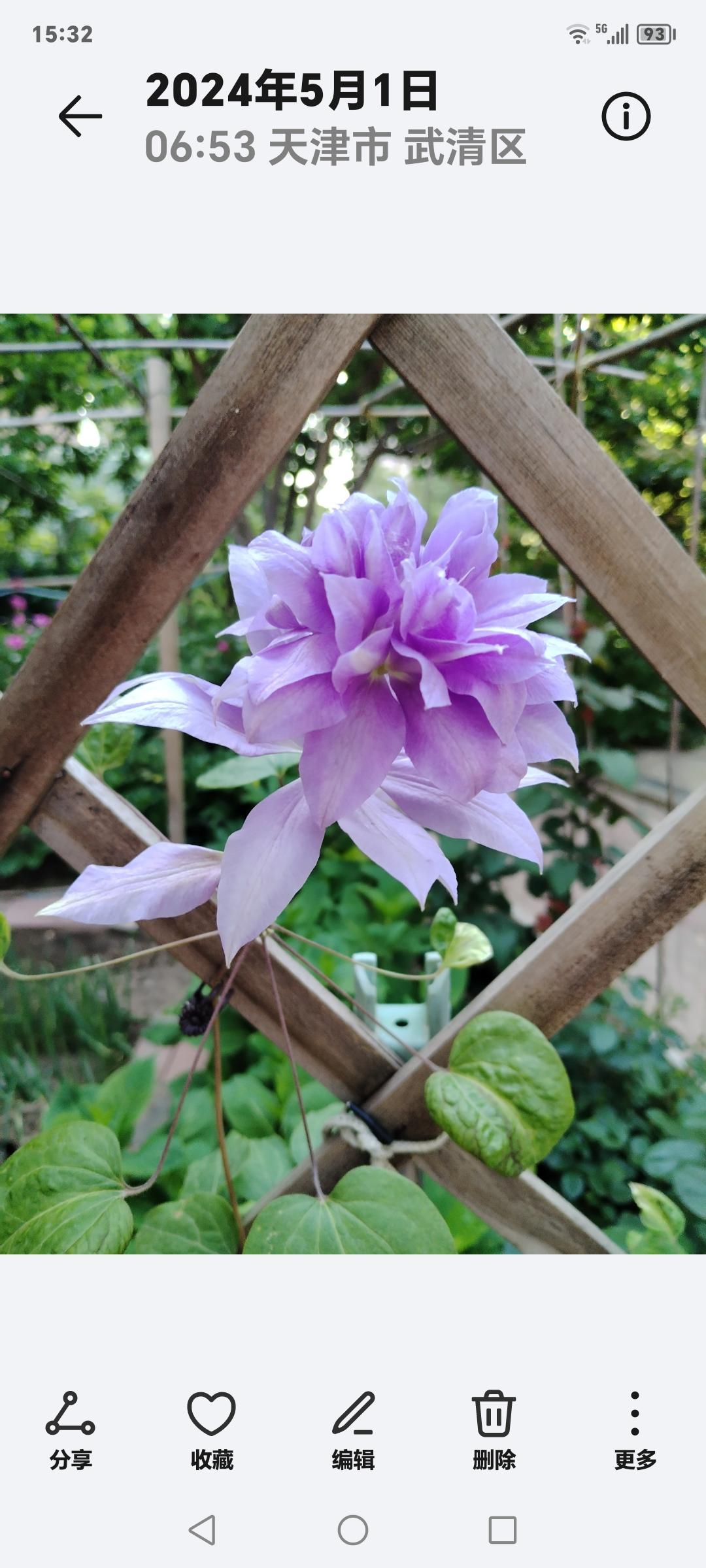 七言诗～五更心静三尺卧室我为王，有茶有酒有书香。心宽体健纳日月，五更心