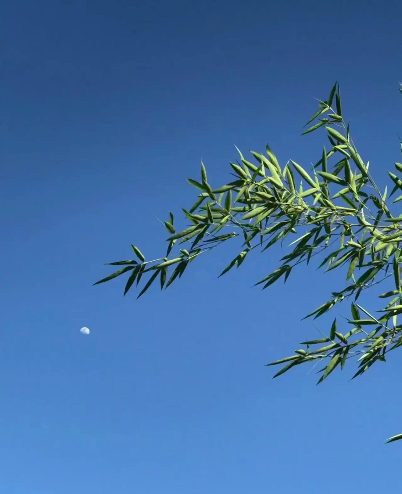 这段话，已婚的未婚的都沉默了：“选择与一个经济条件困难的人结婚，你不得不