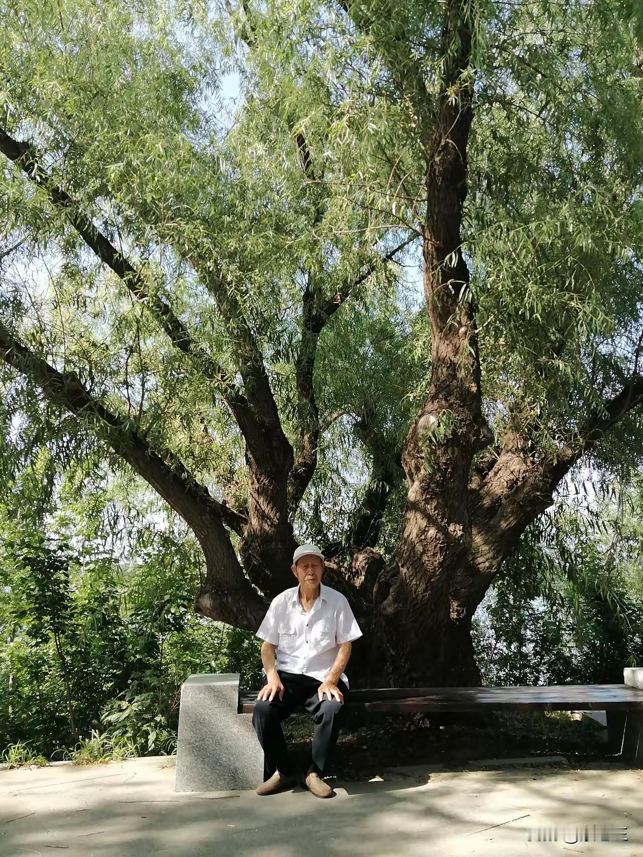 前阵子回老家看父母，我拎了两瓶白酒上门，结果老爸的反应让我琢磨了好一阵子。这