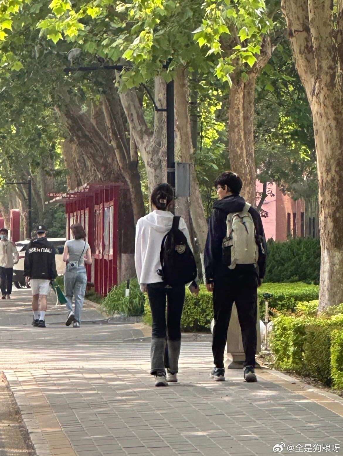 和crush的第一张合照不敢靠太近​​​